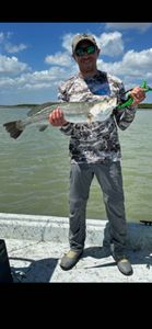 One angler fishing in TX