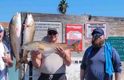 Redfish fishing catch in Port Isabel