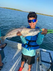 Spotted weakfish, 22 inches, caught fishing in TX