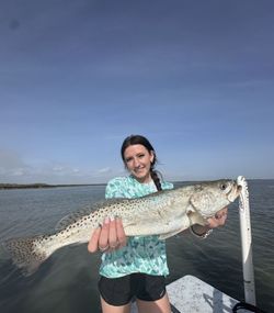Spotted weakfish caught while fishing in TX