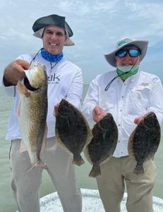 Four large summer flounder caught in Port Isabel