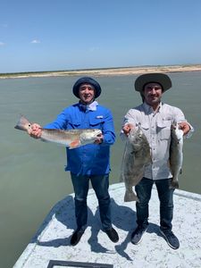 Three black drum fish caught in Port Isabel