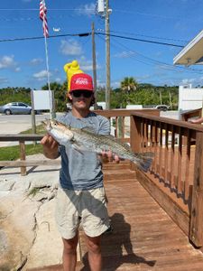 A solo angler with a big 24-inch fish in FL