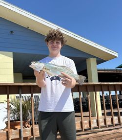 Spotted Weakfish caught while fishing in FL