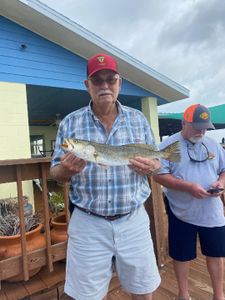 Spotted Weakfish, 17-inch fish caught while fishing in Oak Hill