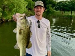Solid bass!
