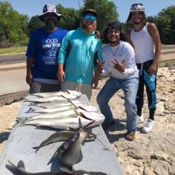 Four people fishing at Cedar Shores