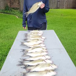 Fishing in TX with 4 fish