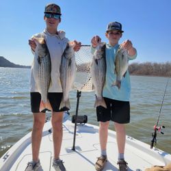 4 striped bass and white bass caught in TX