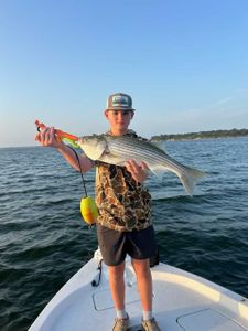 Striped bass caught while fishing at Cedar Shores