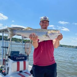 Striped bass caught in Cedar Shores