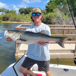 Striped bass caught while fishing at Cedar Shores