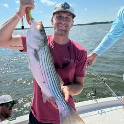 Striped bass caught by two anglers in TX