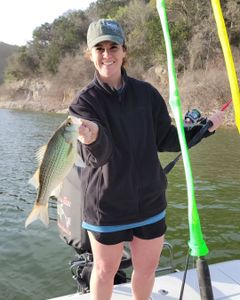 White bass fish caught while fishing in TX