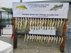Lake Erie fishin’ fun