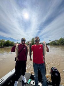 Three anglers fishing in Vermilion