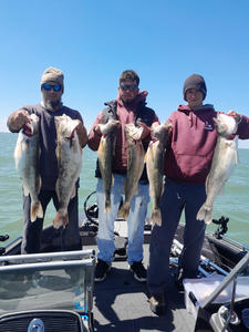 5 great fishing haul in Vermilion