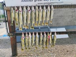 21 fish caught in vermilion