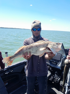 A single huge fish caught in Vermilion