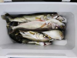 4 fishing hooks and lures against Vermilion background