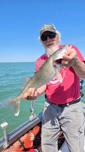Lone angler fishing in Vermilion