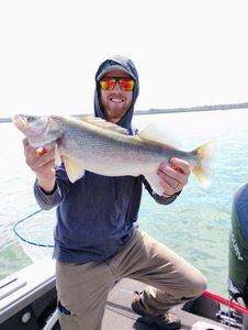 Angler holding a large walleye fish in Ohio
