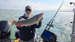 Image of a 25-inch walleye caught while fishing in OH