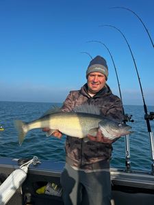 A single Walleye fish caught in Vermilion