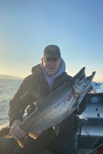 Chinook Salmon Catch in Washing State Fishing 