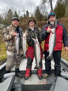 Rippling Excitement: Washington's Salmon Quest