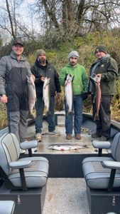 Four people fishing for rainbow trout and chum salmon in Montesano