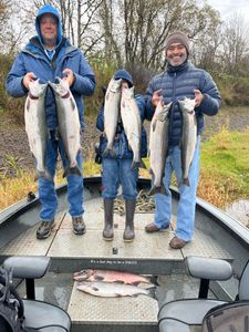 4 Chinook and Coho salmon, 24 inches long, caught in Montesano
