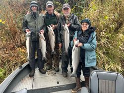 4 coho salmon, fishing in WA