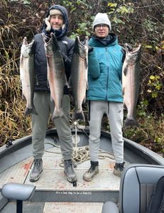Four coho salmon and rainbow trout being held by two people in Montesano