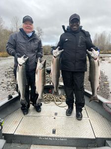Four coho and chinook salmon, fishing in WA