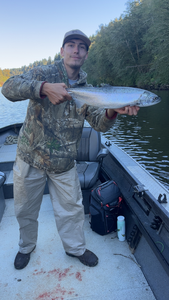 Nice Coho Salmon caught jigging and trolling in Montesano! Weather cleared up perfect for fishing.