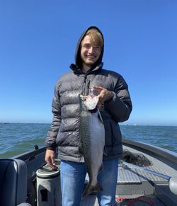 Coho salmon caught while fishing in WA