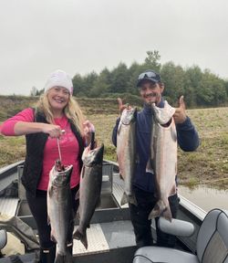 Four coho salmon caught while fishing in WA