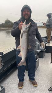 Coho salmon caught while fishing in WA