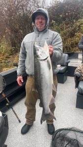 Coho salmon being caught while fishing in Montesano