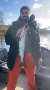 Coho salmon caught fishing in Montesano