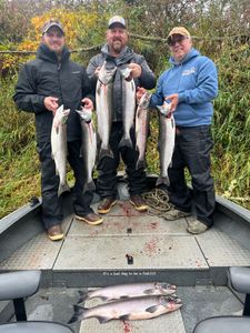 7 coho salmon, sea trout, and chum salmon caught while fishing in WA