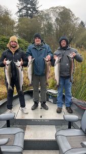 6 coho salmon and rainbow trout caught fishing in Montesano