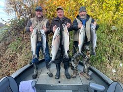 Five coho salmon caught on a fishing trip in WA