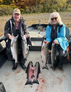6 pink and coho salmon caught in Montesano