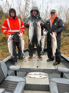 7 coho salmon, chinook salmon, and rainbow trout caught in WA