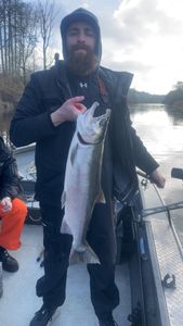 One sea trout caught while fishing in WA