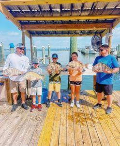 Five fish displayed on wooden dock in Gulf Shores AL after successful fishing trip