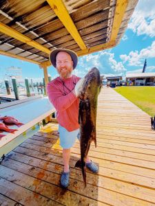 Large fish catch displayed on wooden dock in Gulf Shores AL