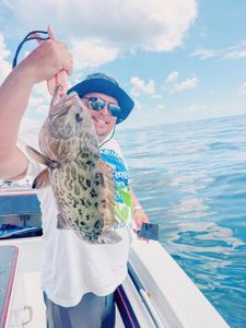 Gag grouper caught while fishing in Gulf Shores AL